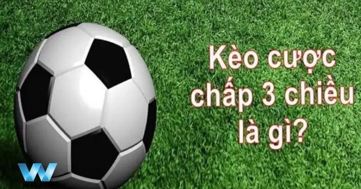 Cược Chấp 3 Chiều Là Gì? Trải Nghiệm Cách Chơi Tại W8 3 Sự Khác Biệt Giữa Cược Chấp 3 Chiều Và Cược Truyền Thống