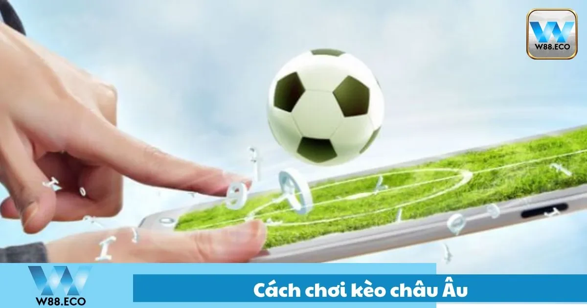 Cách Chơi Kèo Châu Âu Tại W88: Hướng Dẫn Cho Người Mới 2 Cách chọn cửa hòa