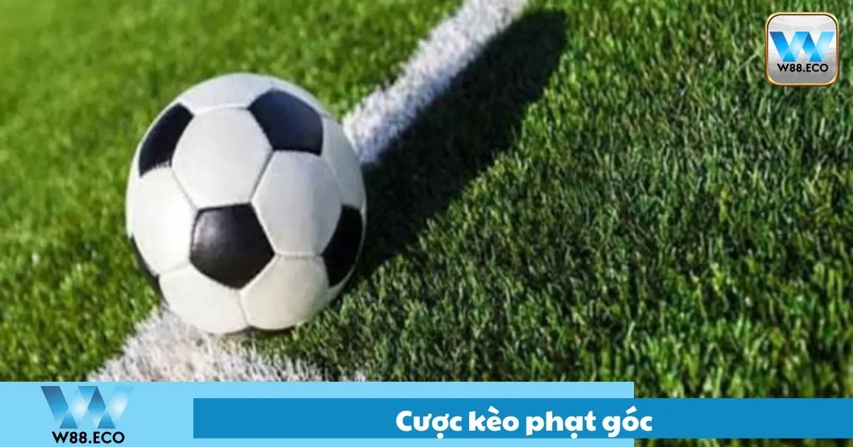 Hướng Dẫn Cược Kèo Phạt Góc Tại W88 – Kiểu Cược Phụ 2 Các loại kèo phạt góc phổ biến hiện nay