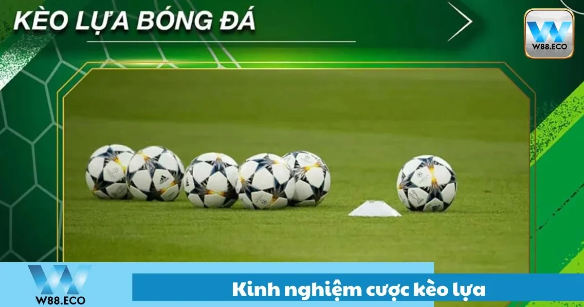 Kinh Nghiệm Cược Kèo Lựa Cần Trước Khi Cược Tại W88 2 Cách đánh kèo lựa khi gặp đối thủ mạnh