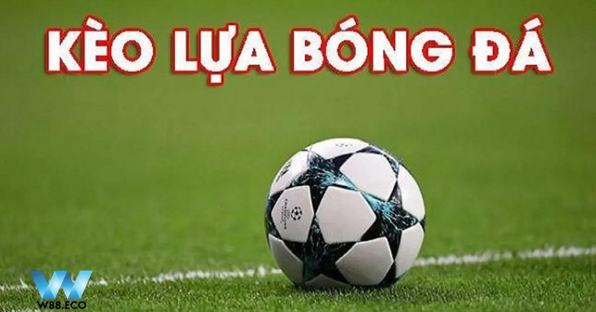 Kinh Nghiệm Cược Kèo Lựa Cần Trước Khi Cược Tại W88 3 Phân tích lịch sử đối đầu của hai trận đấu