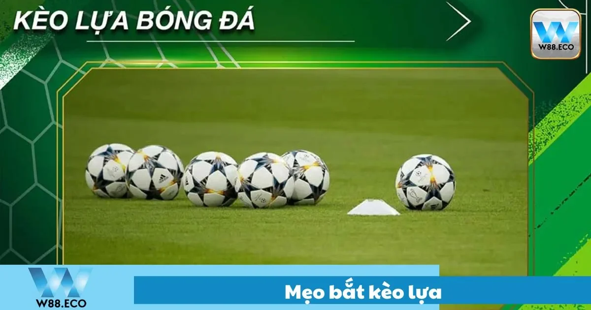 Mẹo Bắt Kèo Lựa Dễ Trúng Tại W88 – Mẹo Nhỏ Nhưng Có Võ 2 Cách chọn kẹo lựa dễ ăn tiền