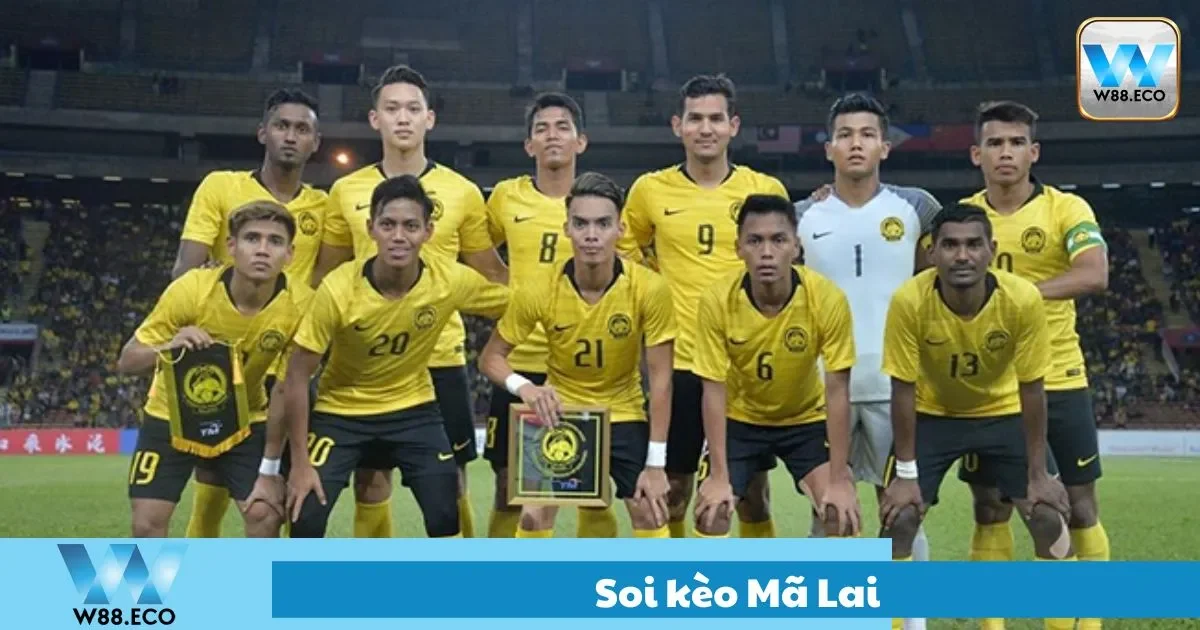 Soi Kèo Mã Lai Tại W88: Cơ Hội Lớn Cho Người Biết Phân Tích 2 Cách đọc bảng soi kèo mã lai